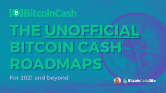 What Bitcoin Cash Developers are Building Right Now: (Unofficial) Bitcoin Cash BCH 2021 Roadmaps