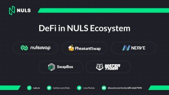 DeFi and Staking within NULS Ecosystem