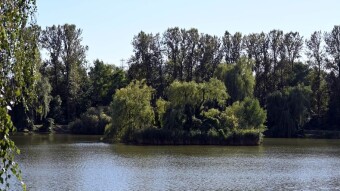 Tuesday marked by warmth and beautiful sunshine - My Actifit Report Card: August 26, 2025