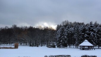 Today without snowfall, much cooler, and the birch is struggling - My Actifit Report Card: December 13 2022