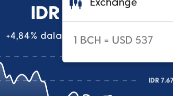 BCH price update in one week. !!