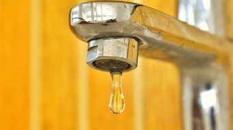 Drip Drip Faucets...