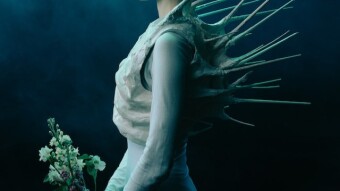 Friend, Fear, Foe, Flaw: The 4F’s in “Down To Earth” - a short film about aliens and adolescence
