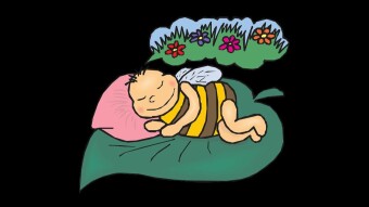 Don't Sleep While Dreaming