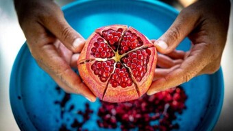 Pomegranate: let's visit its plant & different stages of growth:-