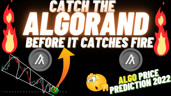 Catch The Algorand Before It Catches Fire | ALGO Price prediction 2023