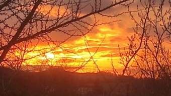 The fire in the sky