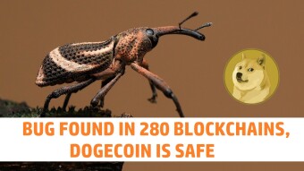 280 blockchains are still vulnerable to the same bug Dogecoin just patched