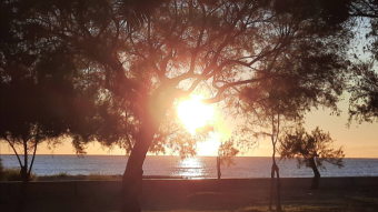 Sometimes... the sun