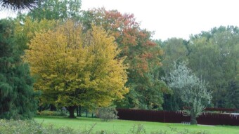 Today it was definitely warmer and nicer, it even smelled like summer :) - My Actifit Report Card: October 5 2022