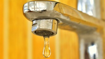 December 2020 Faucet Rankings