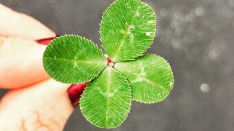 Mindset: Is Luck Just a Illusion?
