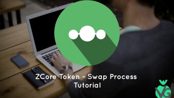 VG’s Tutorials — ZCore Token — Swap Process