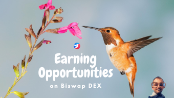 From CEX To DEX - Checking Out The Earning Opportunities on Biswap