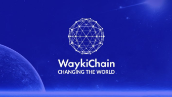 A Quick Overview Of Waykichain Project