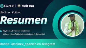 Resumen del AMA con Volt Inu