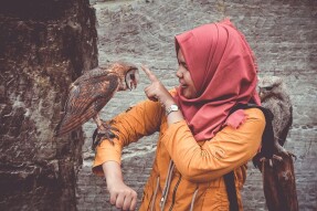 What we do not understand about the value of Trust?