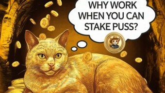 MY WEEKLY "X" PROMOTION REPORT.