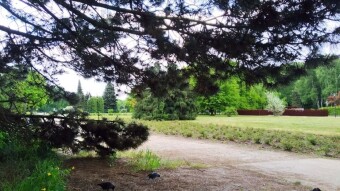 A pretty nice, though still chilly day - My Actifit Report Card: May 12, 2025