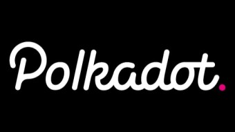 The Inspiration Behind Polkadot