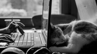 Dynamic DNS with Cloudflare