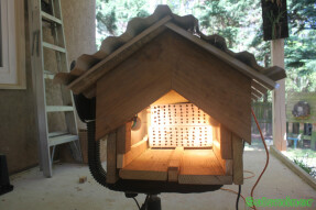 Pictures inside the bee house during early April