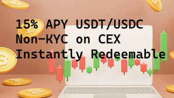 15% APY USDT/USDC Non-Kyc Instantly Redeemable