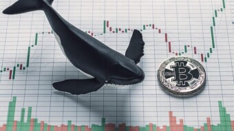 How To Recognize And Anticipate Whales Manipulation As Bitcoin Rises And Benefit Instantly