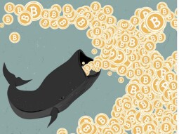 $917 million worth of  Bitcoin moved  in the last hours.
