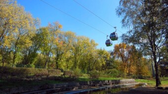 Beautiful sunny day, but with a biting, cold wind - My Actifit Report Card: October 16 2024