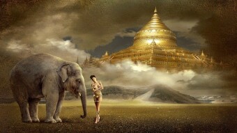 Despite external differences, all living entities are spiritually equal