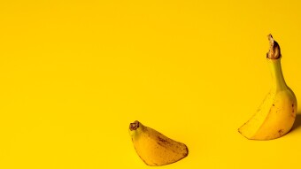Banano Part 1 Culture: The Weirdest And Strangest Crypto Fork