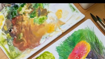 The bitcones paid to post rewards