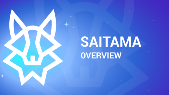 Saitama Token Overview