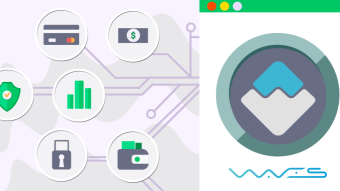 What is WAVES crypto?