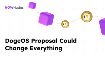 Dogecoin Is Leveling Up: Why OP_CHECKZKP Could Change Everything
