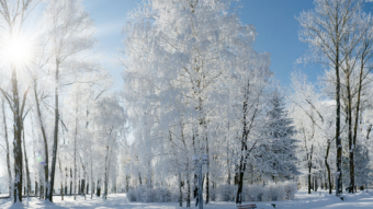 Crypto Winter - 5 Things I'm Doing Differently This Time