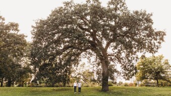 Engagement Photos in Lincoln Park