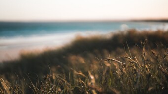 Like The Wind