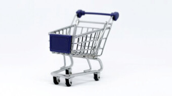 My Mini Shopping Spree and Other News