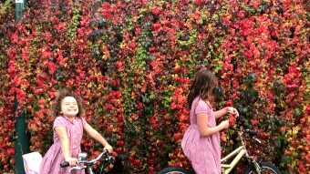 Autumn leaves and getting older... A dance piece and a little rant