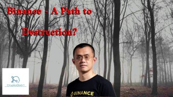 Binance - A Path to Destruction?