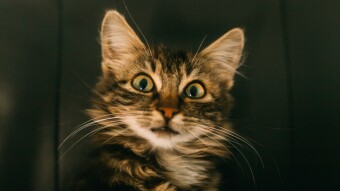 Three Bitter Aspects of Being a Successful Writer No One Told Me About