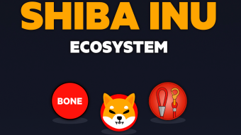 What to expect from ShibaSwap