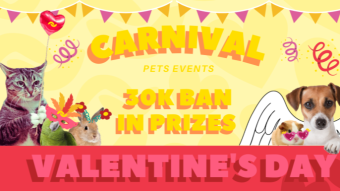 PET EVENT: "CARNAVAL E DIA DOS NAMORADOS"!