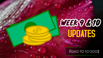 Week 9 & 10 Updates