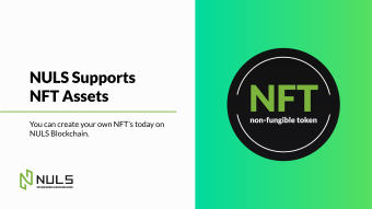 NULS Supports NFT Assets