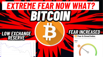 Bitcoin (BTC) Extreme Fear Now What?