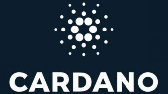 Cardano - 60% of nodes disconnected at once
