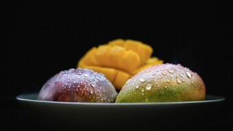 Solana's Mango Markets Treasury Drained of Over $100 Million of Cryptocurrencies